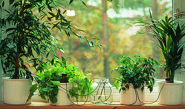 Vollautomatische Gartenbewässerung von Blumat für Ihr Zuhause